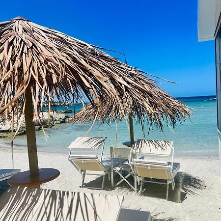 Carpe Diem Otranto Apartment 5 Posti Letto מראה חיצוני תמונה